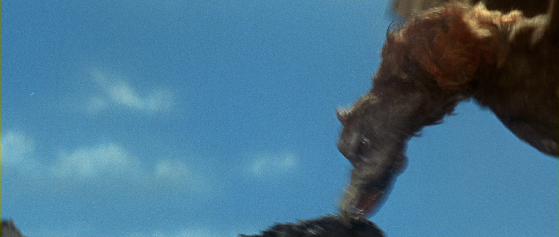 Giant Condor image gallery | Wikizilla, the kaiju encyclopedia