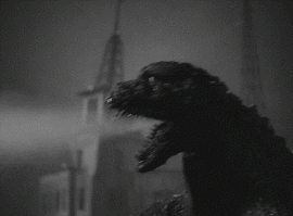 Anguirus (First Generation) | Wikizilla, the kaiju encyclopedia