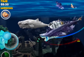 Moby Dick alongside Sharkjira