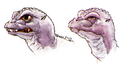 BabyGodzilla head concept art