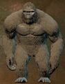 Kong's father as an alternate skin in the game
