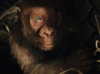 The infant George in Rampage