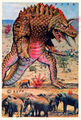 Bahharah