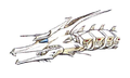Concept art of Mecha-King Ghidorah's central head