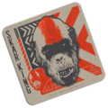 Skar King coaster