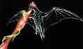 Rodan beam concept art