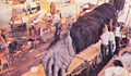 Life-size King Kong arm animatronic
