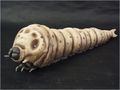 X-Plus 30cm Mothra Larva 1961