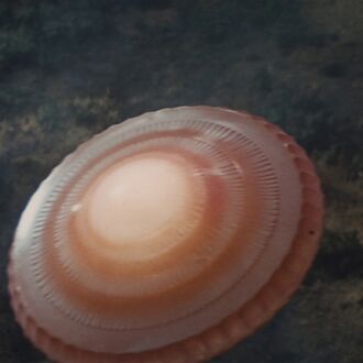 The Kilaak UFO in Destroy All Monsters