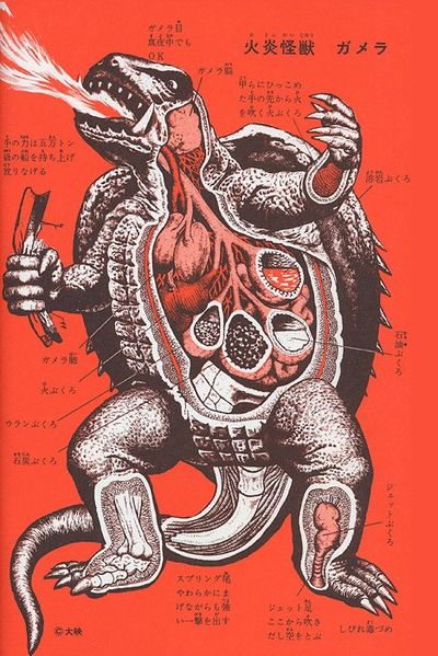 File:Gamera Anatomy.jpg