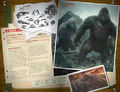 Monarch's profile on Kong's species