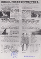 Japanese Godzilla vs. Mothra chirashi back