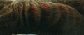 Godzilla leaks red fluid from his gills