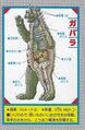 Anatomy of Gabara from the Godzilla Monsters Anatomical Encyclopedia