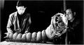 The 3-shaku Mothra larva model behind the scenes