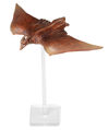 Revoltech Rodan mini-figure