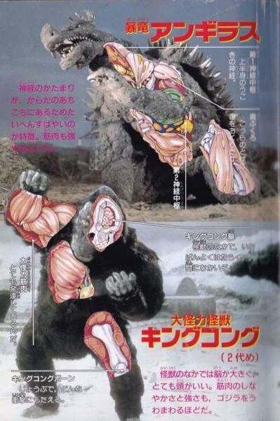 File:Sample f5e5b3ecbfa68dc6cd87957d864abdc1C.jpg