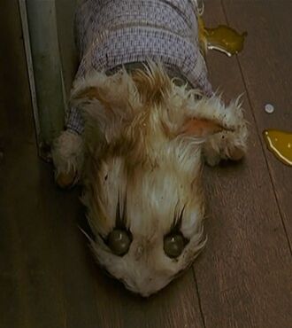 Sunekosuri in The Great Yokai War