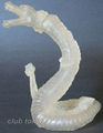 Manda (clear translucent version)