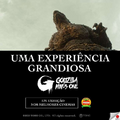 "A great experience"