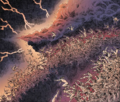Thumbnail for version as of 02:11, 19 January 2025