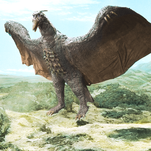 Rodan (Showa) | Wikizilla, the kaiju encyclopedia