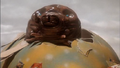 Mothra is born