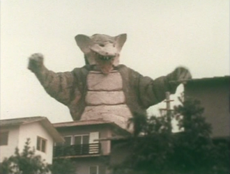 Foxaus in Go! Greenman