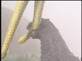 Godzilla bites on King Ghidorah's tail