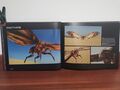 Pages 30-31: Mothra
