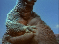 Gabara shocks Minilla with electricity