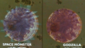 A slide comparing SpaceGodzilla's cells to Godzilla's