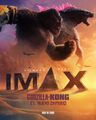 Spanish IMAX poster