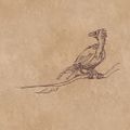 A perched Archaeopteryx