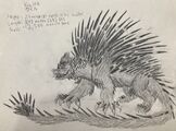 Irradiated porcupine Kuiru