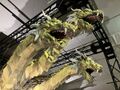 The GMK Ghidorah suit on display in 2025, retaining his white eyes from Fest Godzilla 5: All Monsters Showdown
