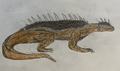Thumbnail for version as of 16:03, 13 May 2026