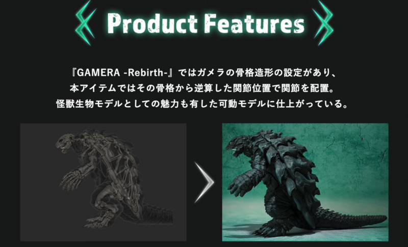 File:Gamera X-Ray.png