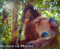 Thumbnail for version as of 03:03, 16 October 2024