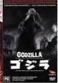 Madman Godzilla DVD cover