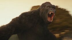 Kong roaring (Kong: Skull Island)