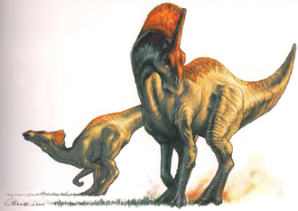 Ligocristus in The World of Kong