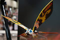 Mothra fixed promo figure