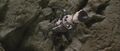 The D-03 clinging onto the Mount Myoko rubble
