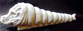 Mothra Larva (closed mandibles)