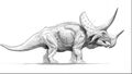 Triceratops
