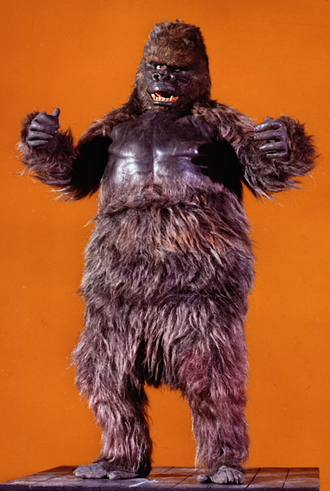 Konga in a promotional photo