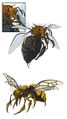 Concept art of the giant mutant bees