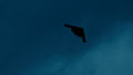 A B-2 Spirit drops bombs on Clover