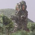 Hedorah in Godzilla Island
